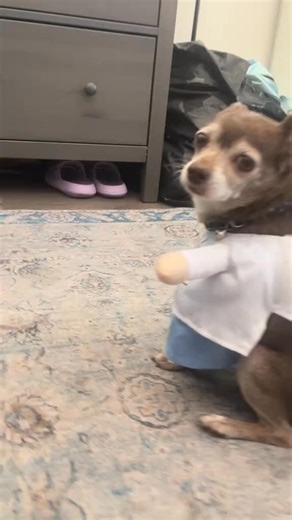 18 reactions · 3 comments | Did somebody call a doctor around here? 喙李浪 | Caroline Wolf | Facebook