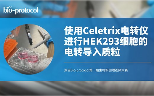 【Bio-protocol】使用Celetrix电转仪进行HEK293细胞的电转导入质粒