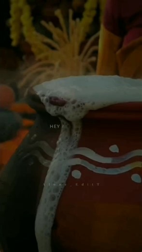 Celebrate Pongal with Joyful Tamil Songs