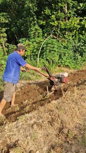 Traditional farming tools for loosening the soil easily-Agriculture farming #shorts