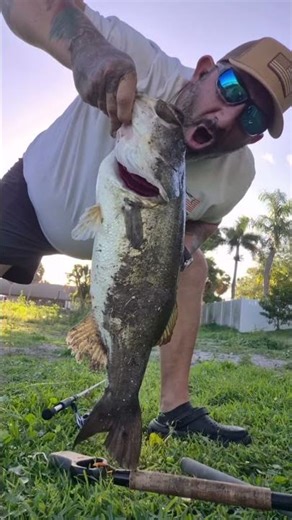 on a zoom redbug #zoom #bassfishing #fishing #fyp