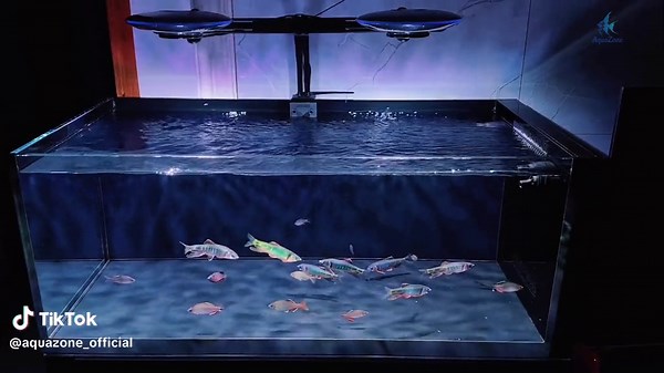 Hiệu ứng ánh trăng từ zetlight ufo Đèn Zetlight UFO - Công suất: 96W - 1 đèn có thể sử dụng được cho bề chiều dài 90cm trở xuống và bể có chiều rộng từ 30-60cm #AquaZone #denled #denzetlight #denhoca #zetlight