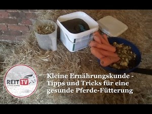 Kleine Ernährungskunde - Pferdefütterung leicht gemacht (Lucias Vlogs) REITTV