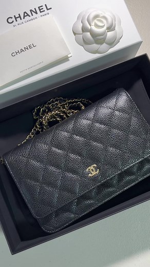 Chanel Classic Wallet on Chain Unboxing