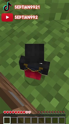 Minecraft Tapi Jika Aku Kena Damage Aku Makin Besar #minecraft #minecraftcreepypasta #shorts