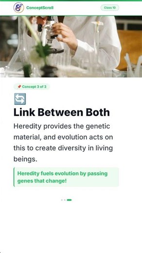 Heredity and Evolution, Class 10 Science | Chapter 8 | Class 10 Biology | NCERT | ConceptScroll 📚 #S