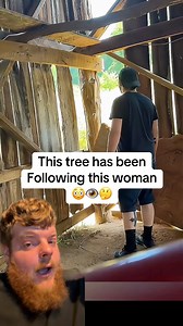 This tree follows woman around her property 😳 #tree #followed #supernatural #appalachia #mystery #famous #scary #story #strange #weird #unknown | itsweirdtime