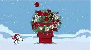 Teleflora TV Spot, 'PEANUTS Happy Dance'