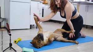 Female practicing yoga exercise at home together with dog on floor. Beautiful Woman in Sports Clothes Practising Different Asana Poses on the Mat. Woman healthy lifestyle and home pet