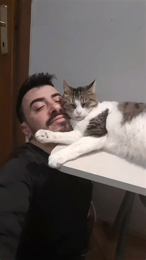 Son Zamların En Güzel Kedi Derlemesi