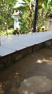 Looking to start your own crayfish setup? ✅ Complete starter package available ✅ Guidance included for beginners 📩 PM us for inclusions and details! Let’s grow your crayfish journey today! 🦞 #viralpost2025 #crayfishbreeder #fypシ゚viralシfypシ゚ #mistercray #Business #followersreels #crayfishbusiness #crayfishfarming #crayfishfarmingphilippines #reelsviralfb | Mister Cray