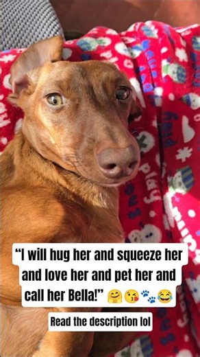 “I will hug her and squeeze her and love her and pet her and call her Bella!” 🤗😘🐾😂