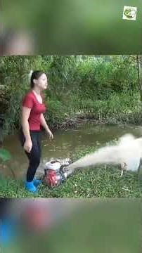 Part 01 Rural Girl Drains the Pond with a Water Pump to Catch Fish #fish #fishinglife #outdoors