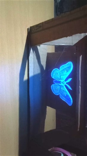 3 d hologram video #diy #experimnent #hologramprojector #school @creativefest