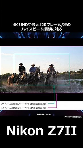 A 1-minute explanation of the Nikon Z7II | The appeal of high-resolution full-frame (image qualit...