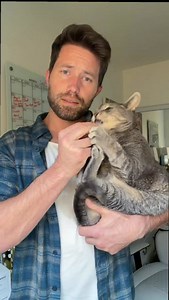 I need to stop wearing flannel at Christmas time. Merry Christmas!!! #hallmark #christmas #cats #catdad | Nathan The CatLady