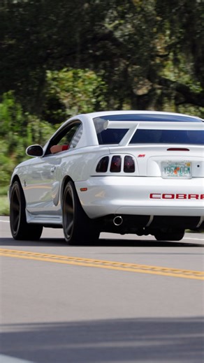 21K views · 748 reactions | Cobra leaving VMP!! #VMP #cobra #mustang #ford #cars | Buddybryan3 | Facebook