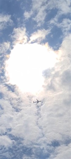 Plane Flying Over Goats & Cows | Village Life Amazing View ✈️🐐🐄 #shorts