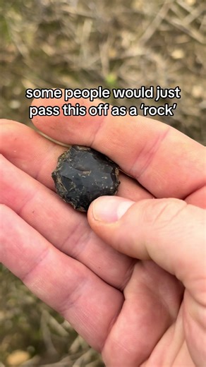 Ancient 'Thumbnail Scraper' Unearthed on a Walk