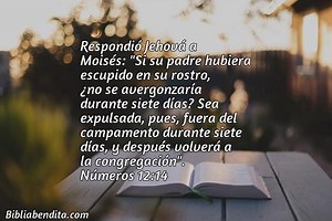 Explicación Números 12:14. 'Respondió Jehová a Moisés: "Si su padre hubiera escupido en su rostro, ¿no se avergonzaría durante siete días? Sea expulsada, pues, fuera del campamento durante siete días, y después volverá a la congregación".' - BibliaBendita