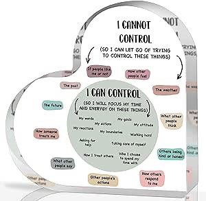 Mental Health Decor, Decor for Therapy Office School Counselor Sign Things I Can Control Acrylic Heart Gifts, Therapist Office Art Decorations for Therapist Office Living Room Bedroom Desktop Gift
