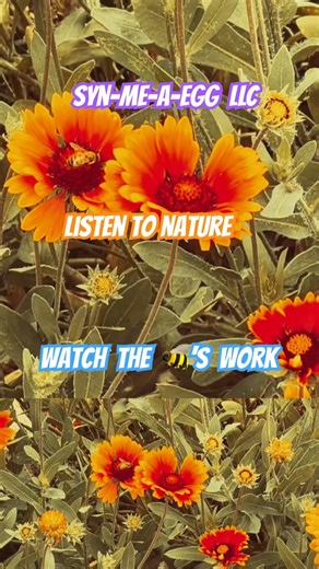 Nature Sounds: Bees Pollinating Wildflowers | Calm Outdoor Ambience