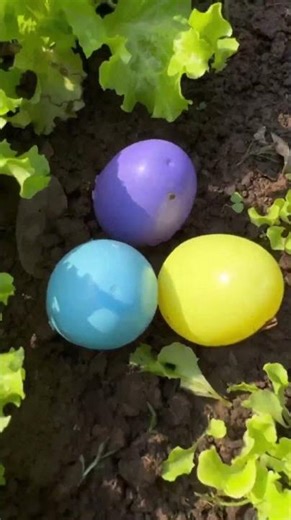 I’m Crying Over a Fish 😭