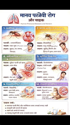 human protozoa disease and vector class all exam upp up si 📝