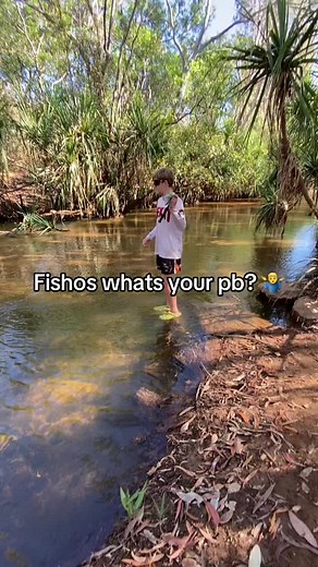 Catching a 20cm Spangled Perch: Fishing Tips