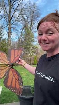 Flying Butterfly Toy That Looks REAL 😱🦋 | Unexpected Magic Moment!