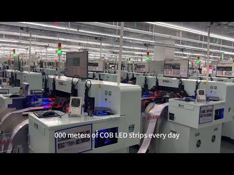 Inside Our COB LED Strip Factory | High-Quality, High-Output, On-Time Delivery