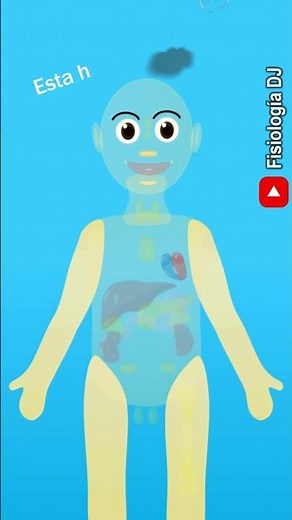 Sistema endocrino: Corazón, funciones endocrinas | Fisiología del sistema endocrino