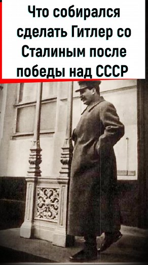 Что хотел сделать Сталин с Гитлером в 1941 году