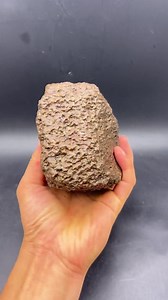 Carbonaceous Chondrite Rare and Mysterious Cosmic Meteorite Complete Specimen From Italy A2396 - Etsy