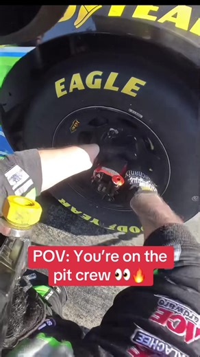 Experience the Organized Chaos of F1 Pit Crews at 200 MPH