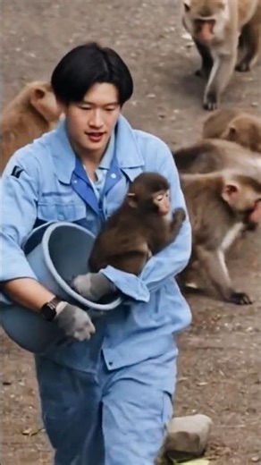 Lonely Monkey’s sad story #monkey #punch #animalshorts