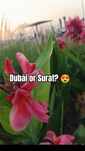 Surat dumas beach sea face beautiful Sunset view😱#suratcity #dumas dumas beach new project