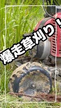 爆走草刈り！スパイダーモア＆刈払機始動‼️ #さくらふぁーむ #家庭菜園 #現代農業 #農業 #スパイダーモア#草刈り #草刈り機
