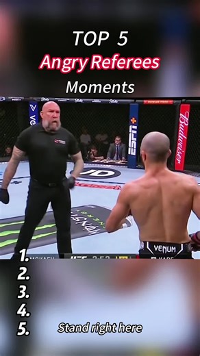 TOP 5 Angry Referees Moments #top5 #ufc #mma #usa #fyp