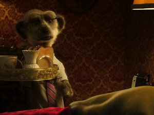 Compare The Market: Meerkat Mondays • Ads of the World™ | Part of The Clio Network