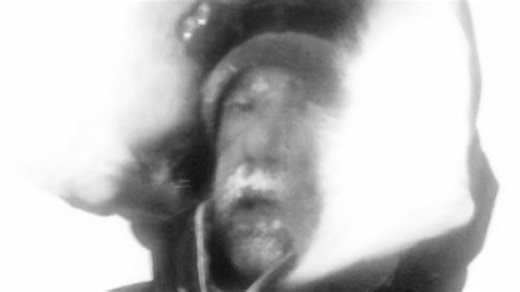 Without Warning | Film Threat