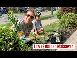 FINALLY! Front Yard Gardening Makeover - On A Budget | BEFORE AND AFTER