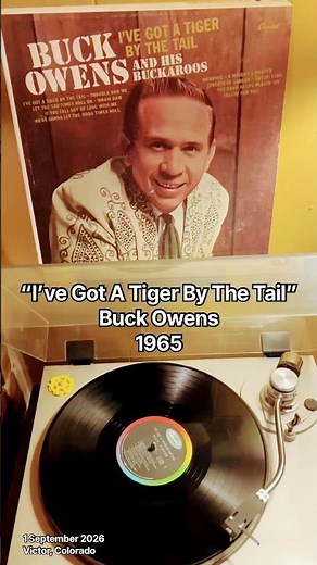 “I’ve Got A Tiger By The Tail” (1965) by Buck Owens and his Buckaroos