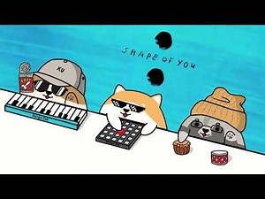 Ed Sheeran - Shape of You (cover by Bongo Dog) 🐶