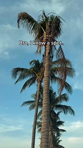 ☀️😎🌊 From the harbor to the beaches, we want to know: What’s your favorite spot in Punta Gorda/Englewood Beach? Drop your go-to place in the comments! 👇 ✨Your favorite could be someone else’s next must-see.✨ #BestSideOutside #PuntaGorda #EnglewoodBeach | Punta Gorda/Englewood Beach