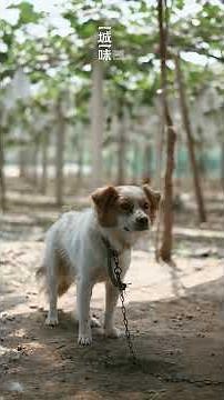 Wuxi's hidden gem