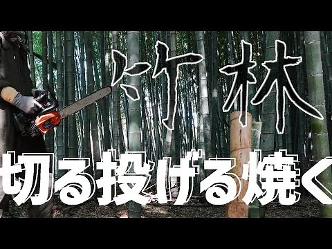 放置竹林を一人で管理する手順【竹林整備】【チェーンソー】【無煙炭化器】
