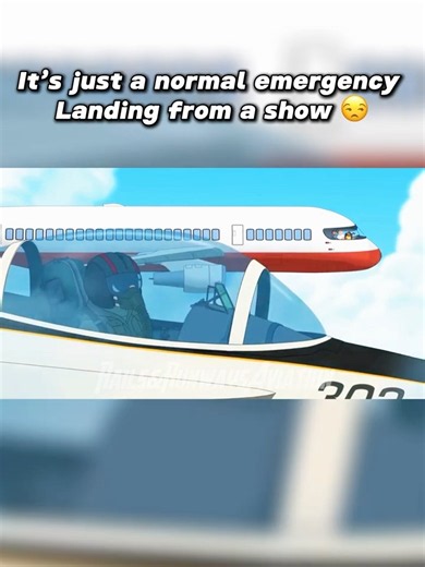 It’s not a emergency landing from a show 😔