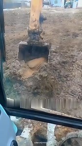 18K views · 148 reactions | Have you ever heard this camel hump fact. #factsdaily #viralreelsfacebook #reelsviralfb #reelsfacebook #shortsvideos | ScienceTimes | Facebook