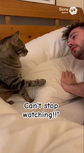 Cat Says “STOP SNORING!” and Tries to Wake Him Up 😂🐱😴 #funny